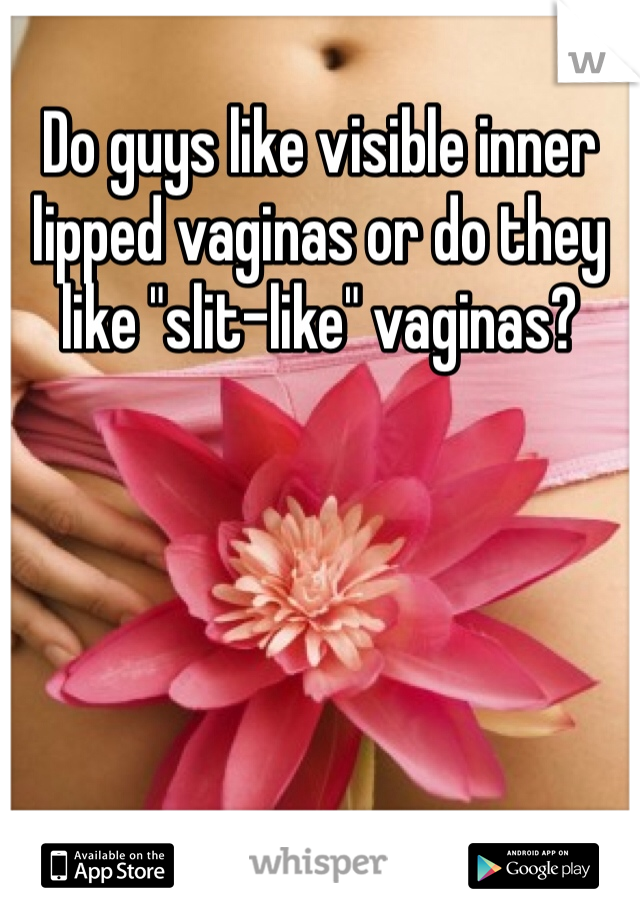 Do guys like visible inner lipped vaginas or do they like "slit-like" vaginas?