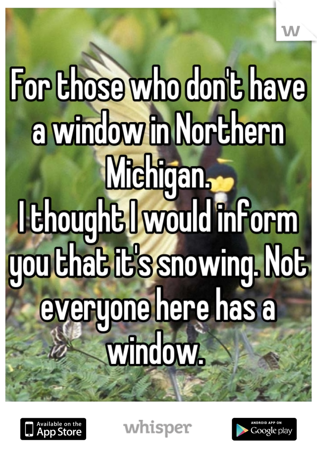 For those who don't have a window in Northern Michigan. 
I thought I would inform you that it's snowing. Not everyone here has a window. 