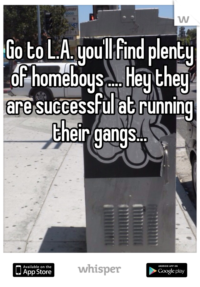 Go to L.A. you'll find plenty of homeboys .... Hey they are successful at running their gangs... 