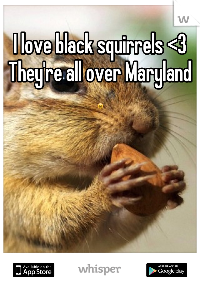 I love black squirrels <3
They're all over Maryland
😄

