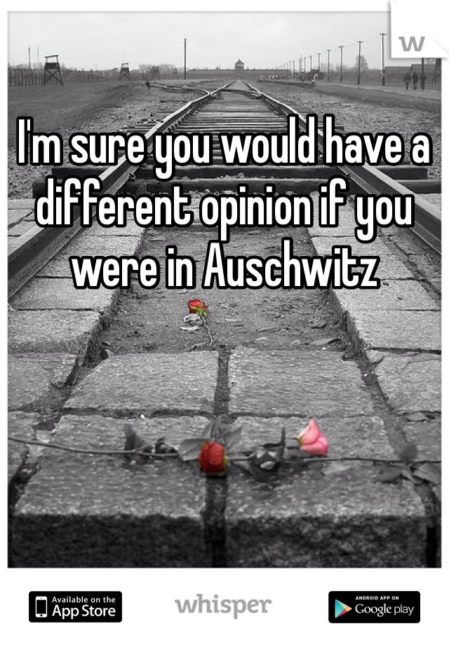 I'm sure you would have a different opinion if you were in Auschwitz