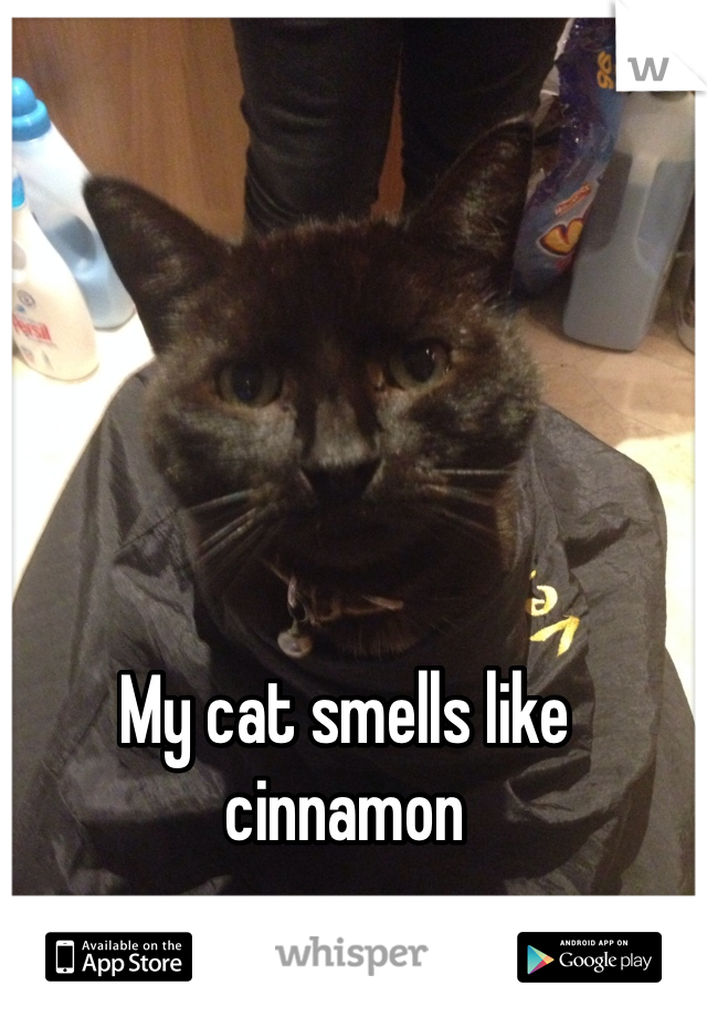 My cat smells like cinnamon