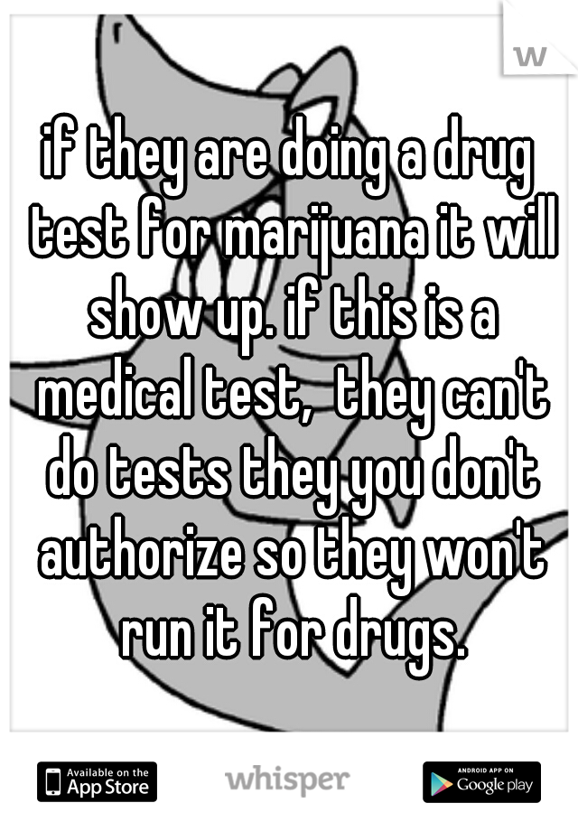 if they are doing a drug test for marijuana it will show up. if this is a medical test,  they can't do tests they you don't authorize so they won't run it for drugs.