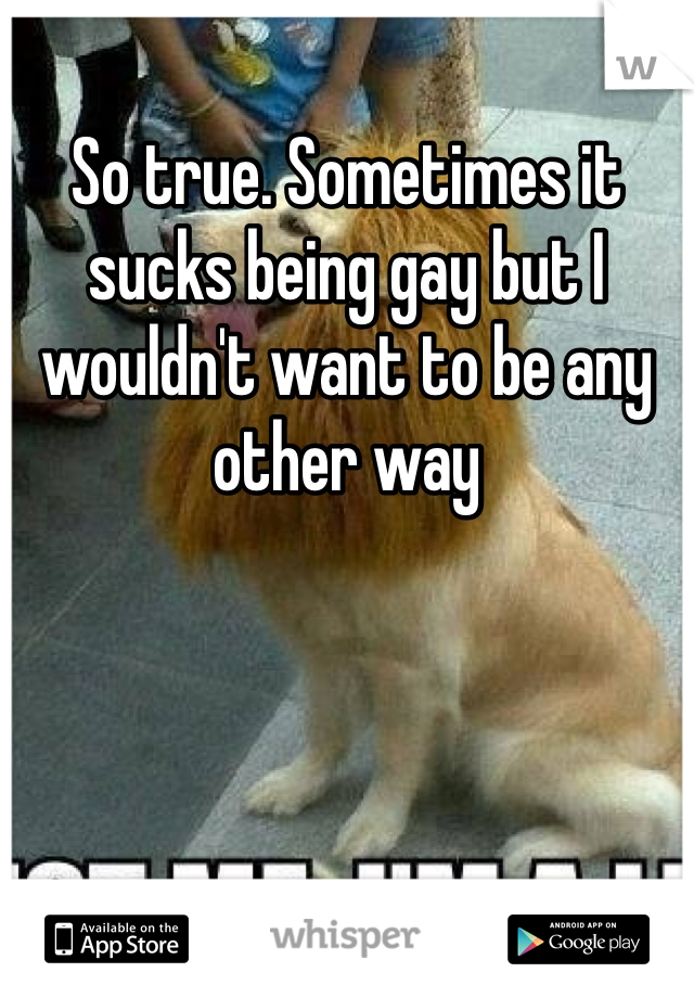 So true. Sometimes it sucks being gay but I wouldn't want to be any other way 
