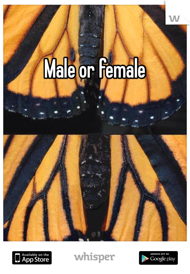 Male or female
