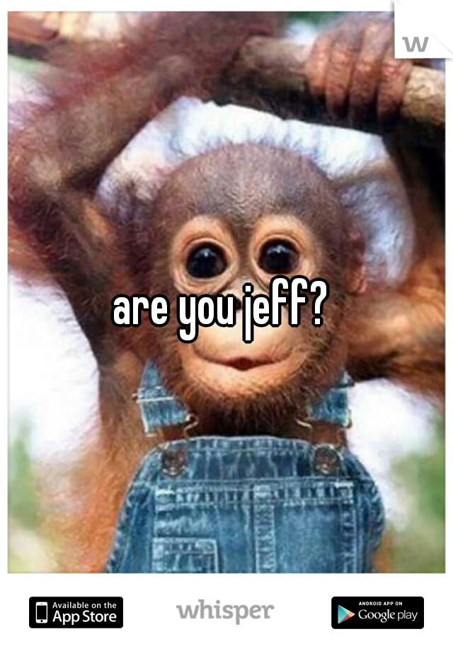 are you jeff? 