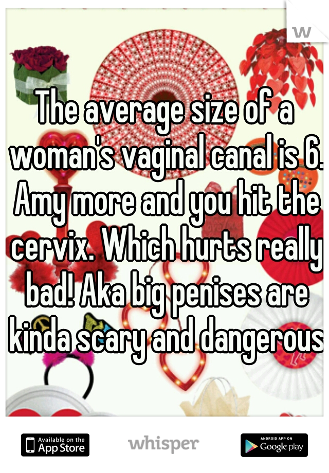 The average size of a woman's vaginal canal is 6. Amy more and you hit the cervix. Which hurts really bad! Aka big penises are kinda scary and dangerous.