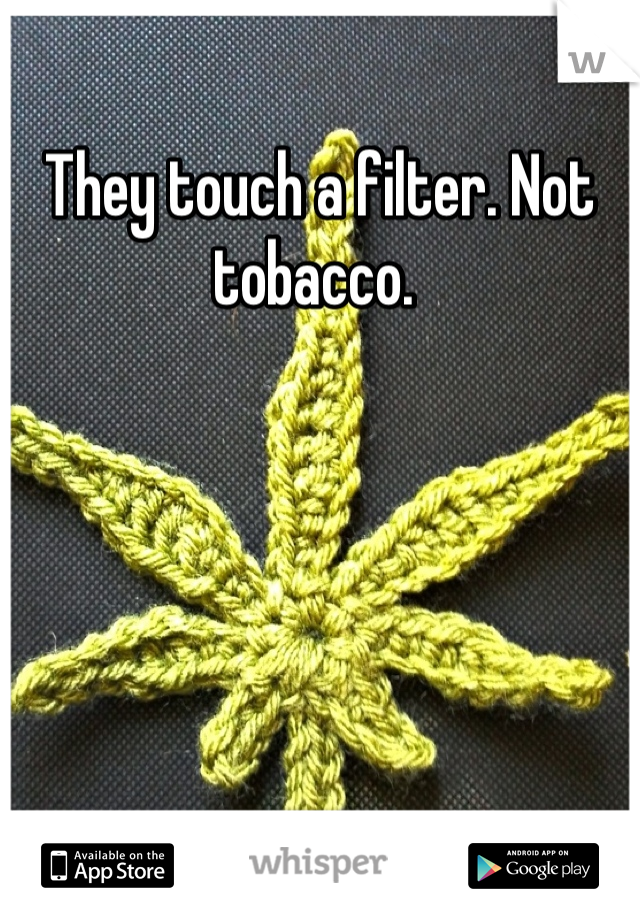 They touch a filter. Not tobacco. 