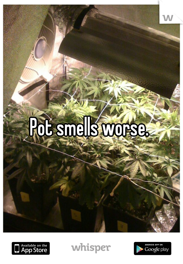 Pot smells worse. 