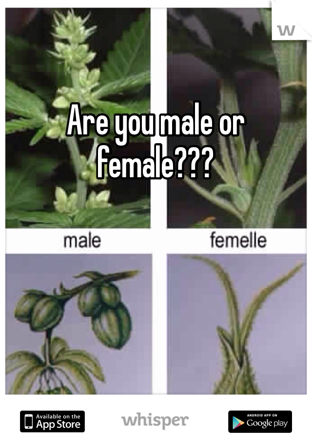 Are you male or female???