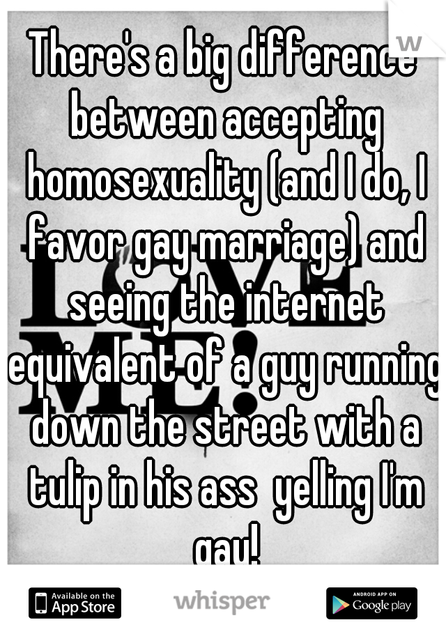 There's a big difference between accepting homosexuality (and I do, I favor gay marriage) and seeing the internet equivalent of a guy running down the street with a tulip in his ass  yelling I'm gay!