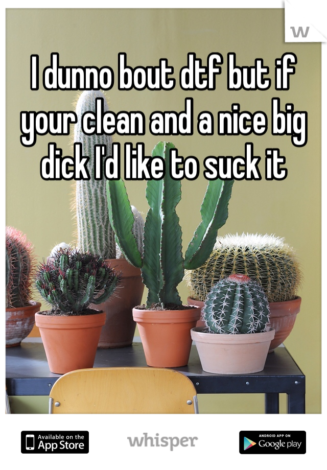 I dunno bout dtf but if your clean and a nice big dick I'd like to suck it 