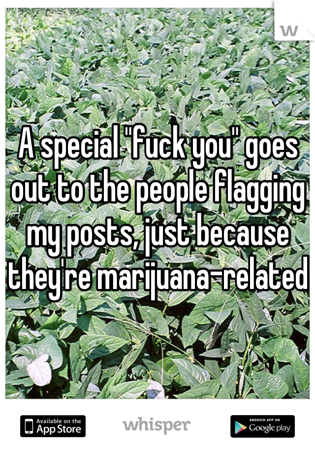 A special "fuck you" goes out to the people flagging my posts, just because they're marijuana-related