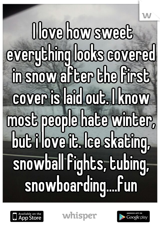   I love how sweet everything looks covered in snow after the first cover is laid out. I know most people hate winter, but i love it. Ice skating, snowball fights, tubing, snowboarding....fun