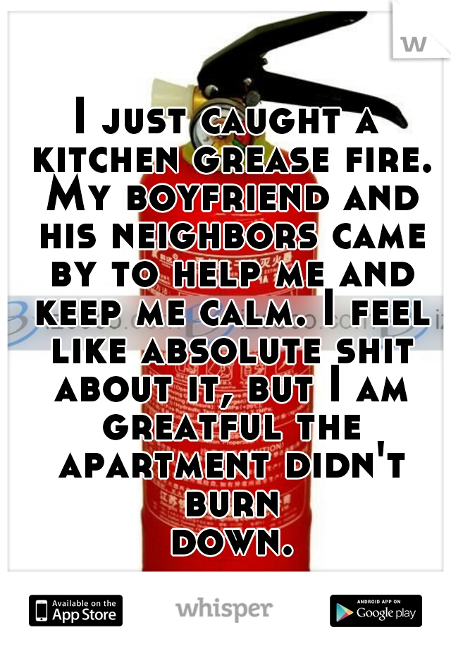 I just caught a kitchen grease fire. My boyfriend and his neighbors came by to help me and keep me calm. I feel like absolute shit about it, but I am greatful the apartment didn't burn down...
