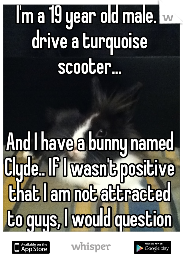 I'm a 19 year old male. I drive a turquoise scooter... 


And I have a bunny named Clyde.. If I wasn't positive that I am not attracted to guys, I would question myself. 