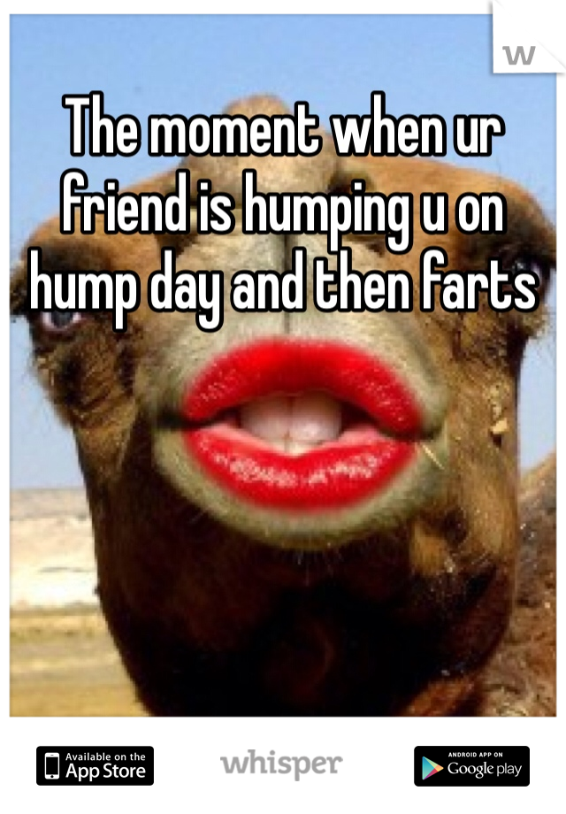 The moment when ur friend is humping u on hump day and then farts