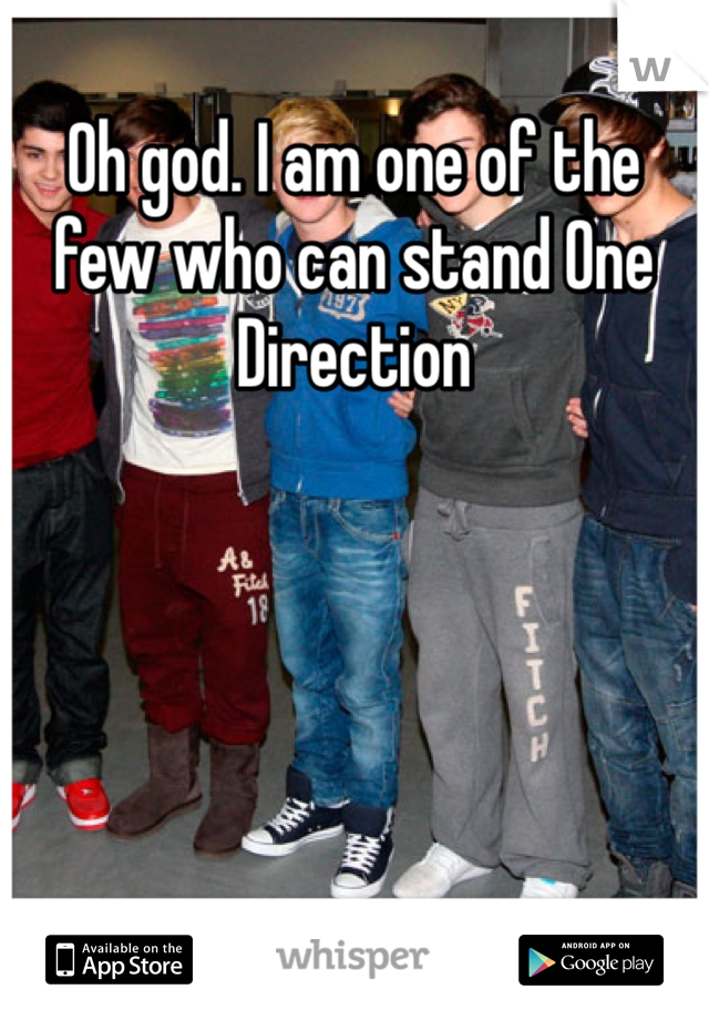 Oh god. I am one of the few who can stand One Direction