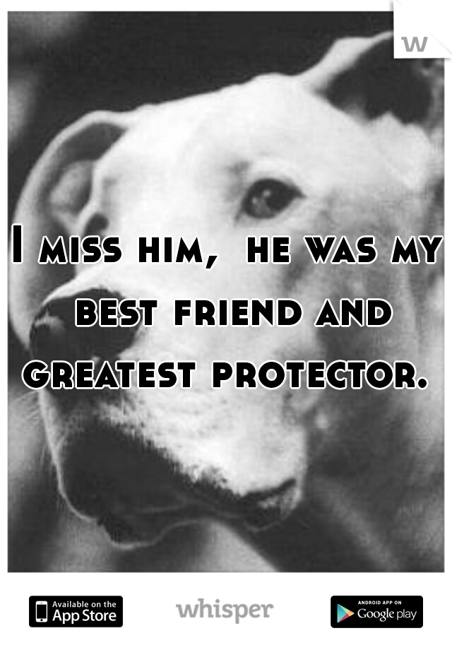 I miss him,  he was my best friend and greatest protector.  