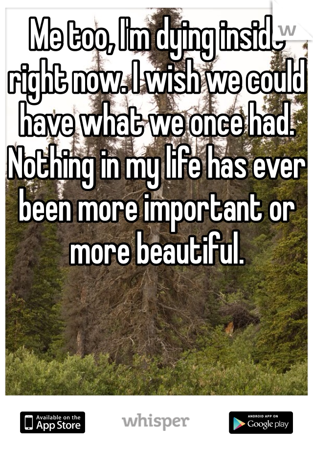 Me too, I'm dying inside right now. I wish we could have what we once had. Nothing in my life has ever been more important or more beautiful.