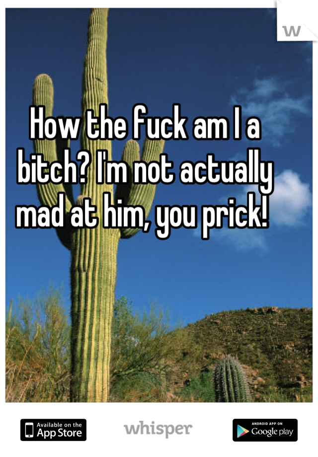 How the fuck am I a bitch? I'm not actually mad at him, you prick! 