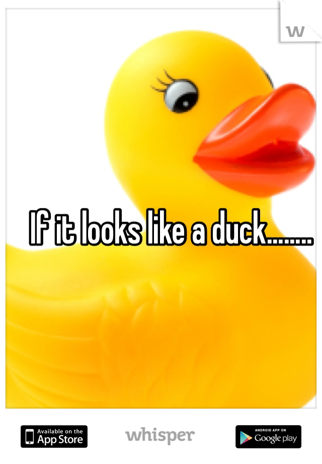 If it looks like a duck........