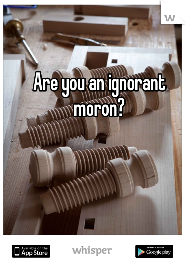 Are you an ignorant moron?