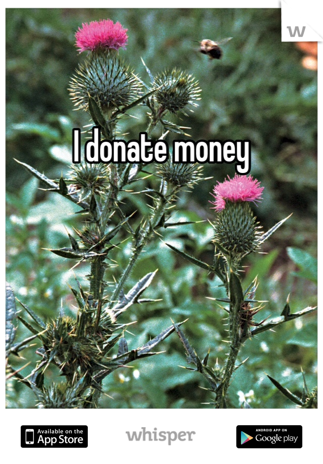 I donate money
