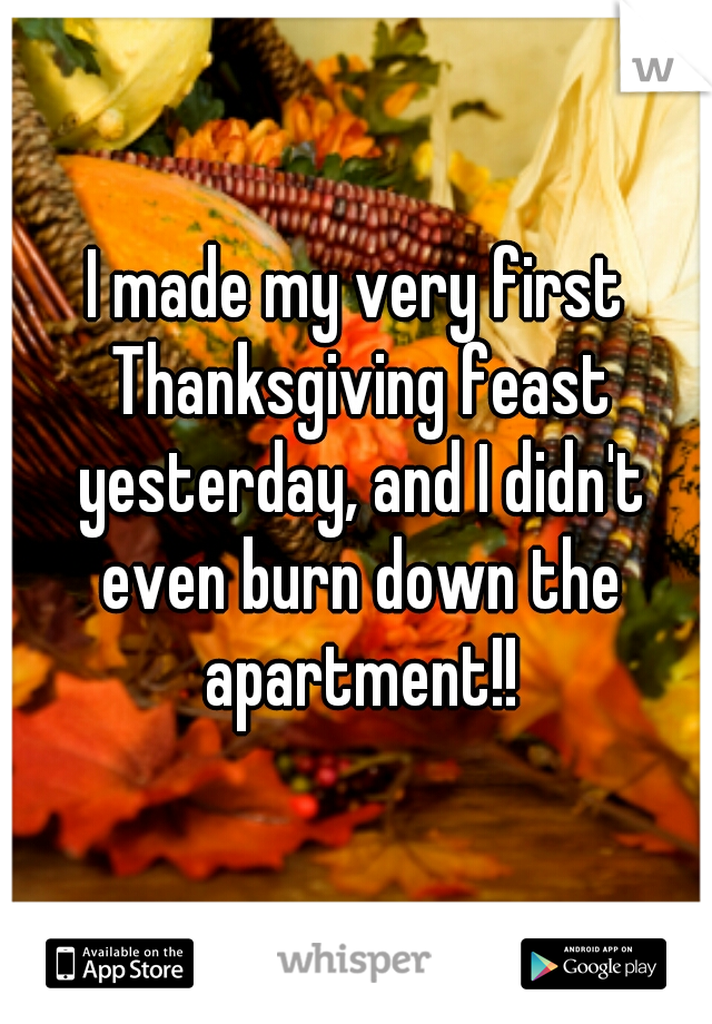 I made my very first Thanksgiving feast yesterday, and I didn't even burn down the apartment!!