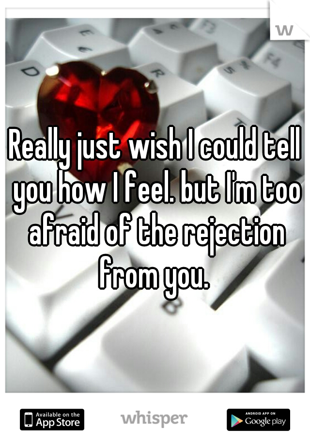 Really just wish I could tell you how I feel. but I'm too afraid of the rejection from you. 
