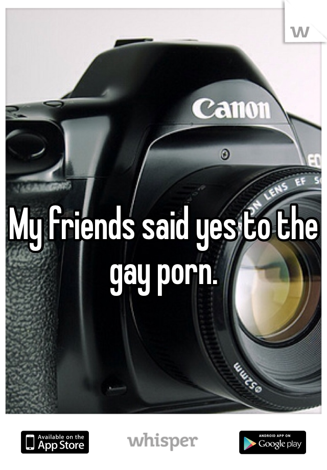 My friends said yes to the gay porn.