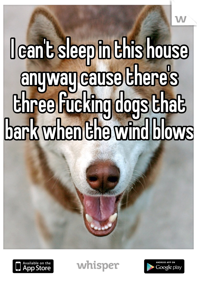 I can't sleep in this house anyway cause there's three fucking dogs that bark when the wind blows 