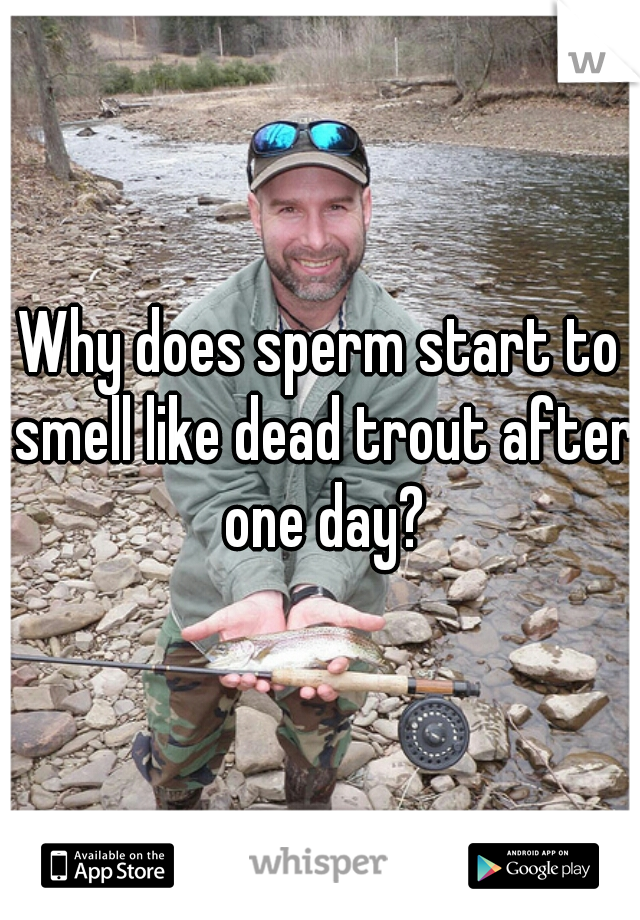 Why does sperm start to smell like dead trout after one day?