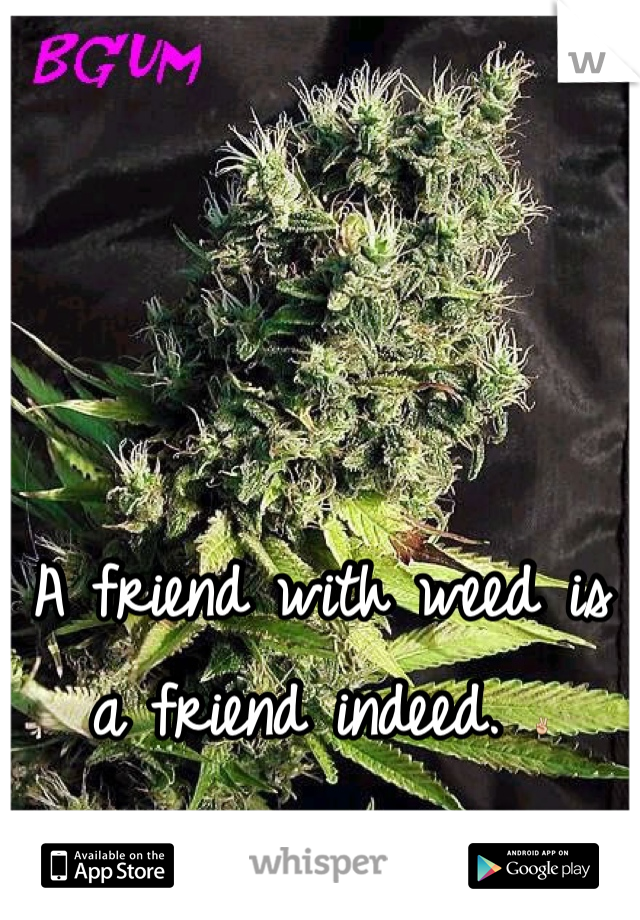 A friend with weed is a friend indeed. ✌