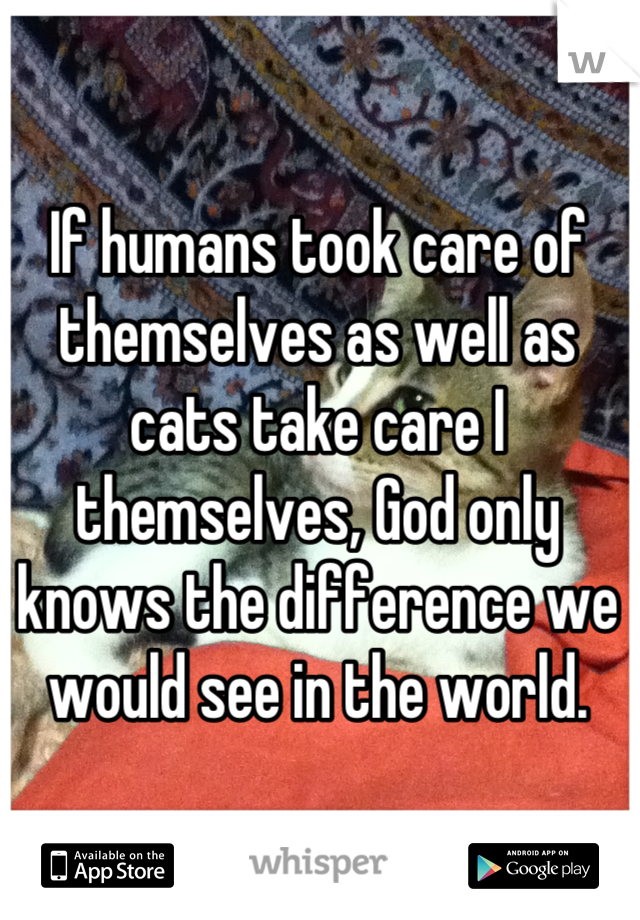 If humans took care of themselves as well as cats take care I themselves, God only knows the difference we would see in the world.