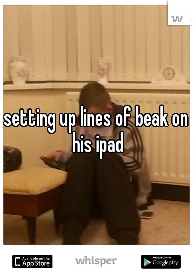 setting up lines of beak on his ipad