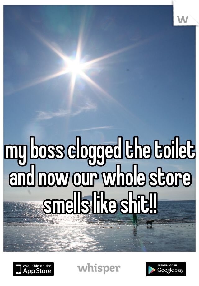 my boss clogged the toilet and now our whole store smells like shit!!