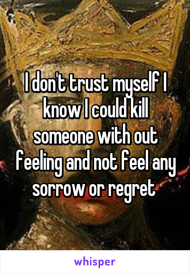 I don't trust myself I know I could kill someone with out feeling and not feel any sorrow or regret 