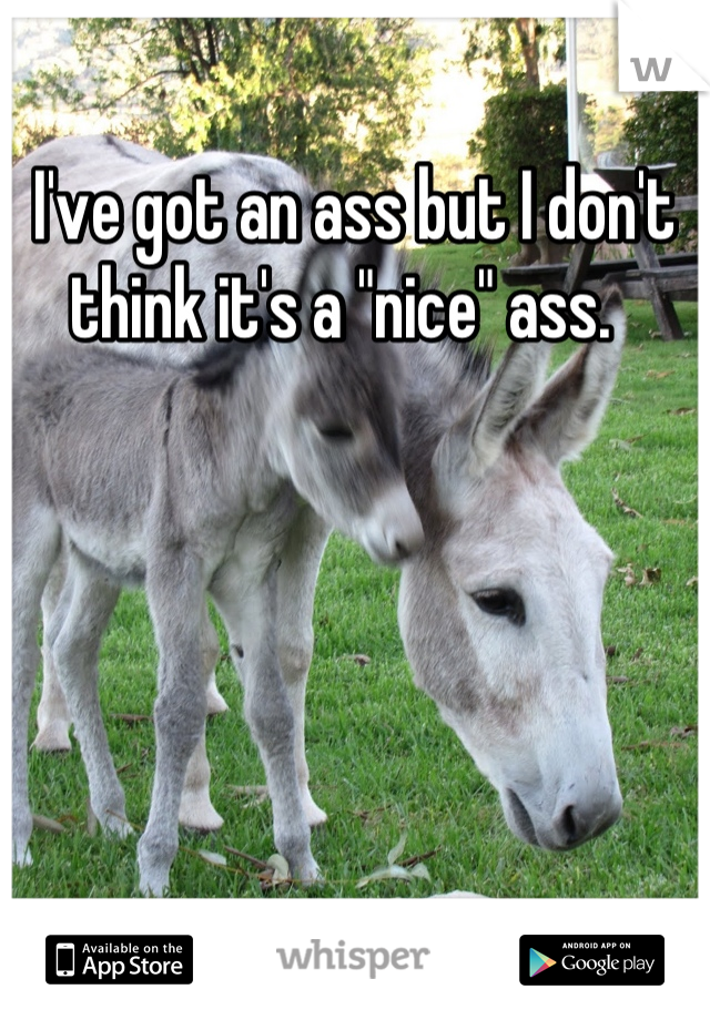 I've got an ass but I don't think it's a "nice" ass.  