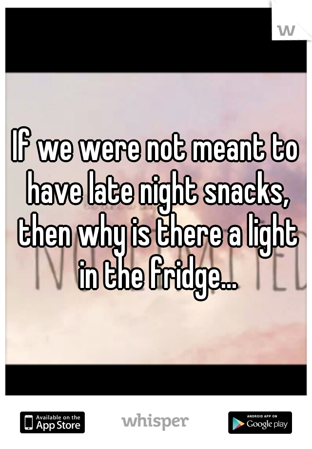If we were not meant to have late night snacks, then why is there a light in the fridge...