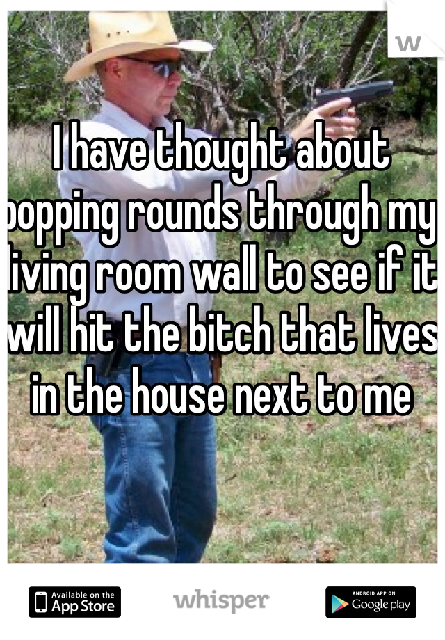 I have thought about popping rounds through my living room wall to see if it will hit the bitch that lives in the house next to me
