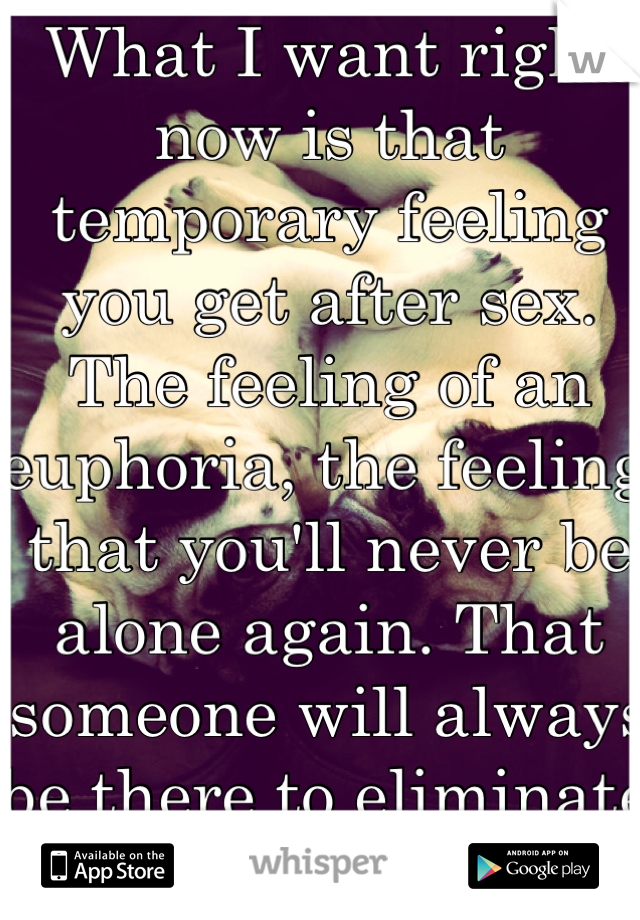 What I want right now is that temporary feeling you get after sex. The feeling of an euphoria, the feeling that you'll never be alone again. That someone will always be there to eliminate loneliness.