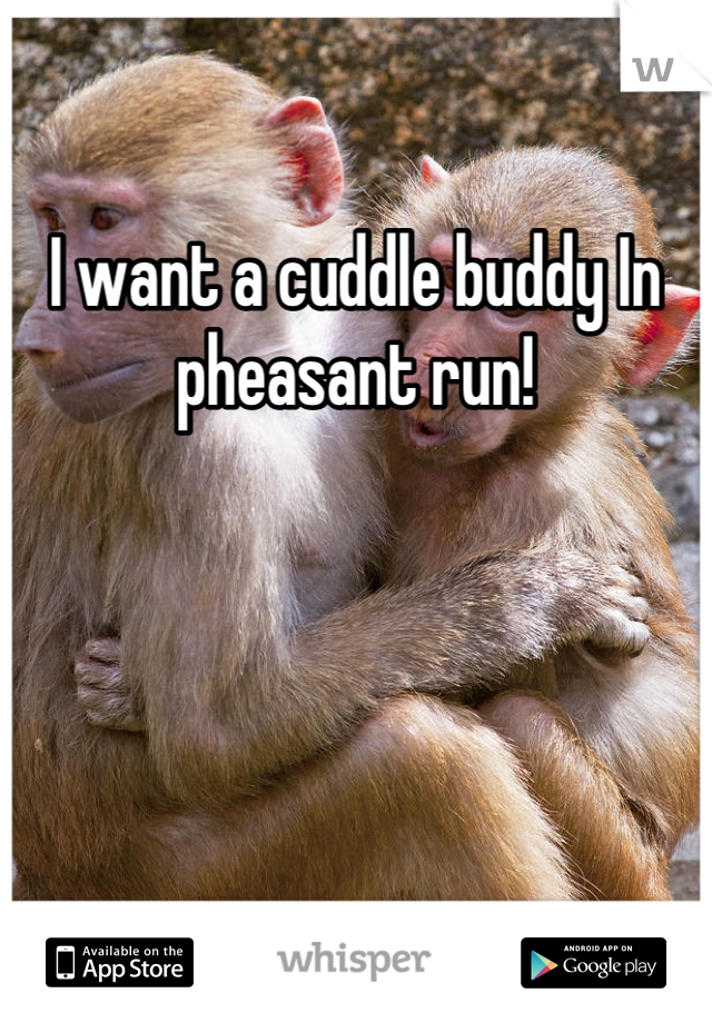 I want a cuddle buddy In pheasant run!