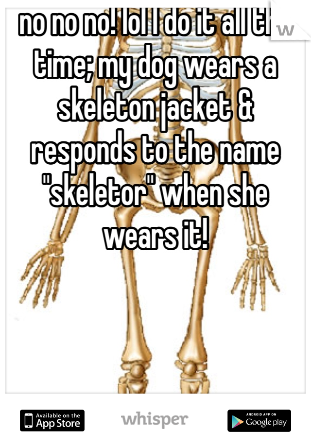 no no no! lol I do it all the time; my dog wears a skeleton jacket & responds to the name "skeletor" when she wears it!
