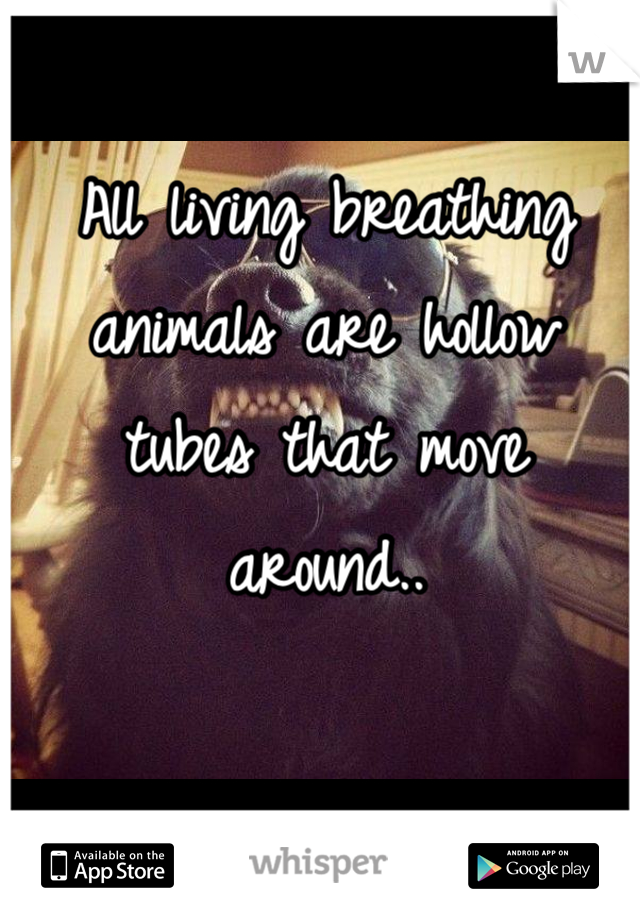 All living breathing
animals are hollow
tubes that move around..