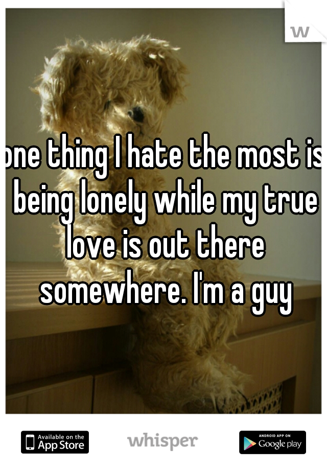 one thing I hate the most is being lonely while my true love is out there somewhere. I'm a guy