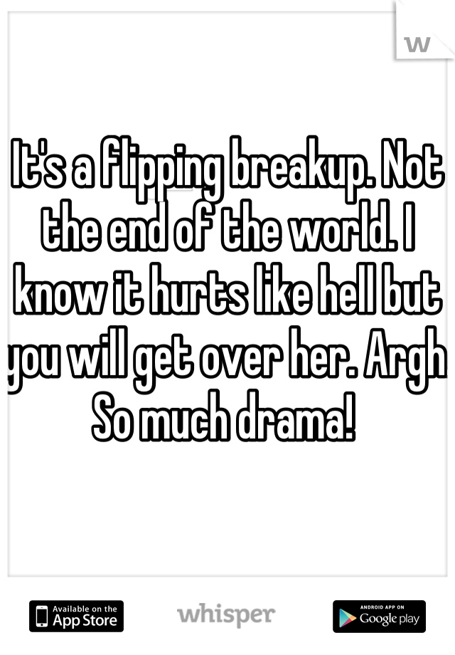 It's a flipping breakup. Not the end of the world. I know it hurts like hell but you will get over her. Argh. So much drama! 