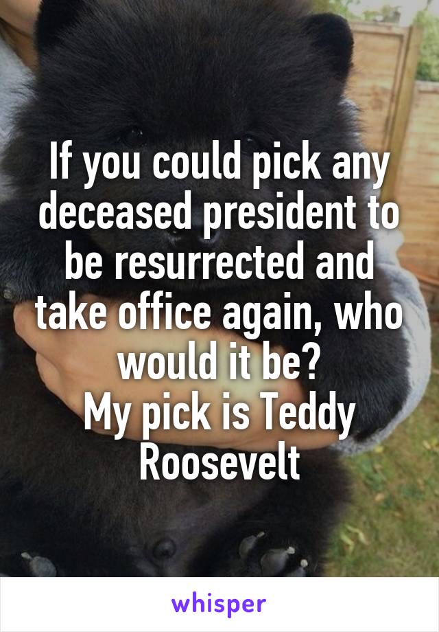 If you could pick any deceased president to be resurrected and take office again, who would it be?
My pick is Teddy Roosevelt