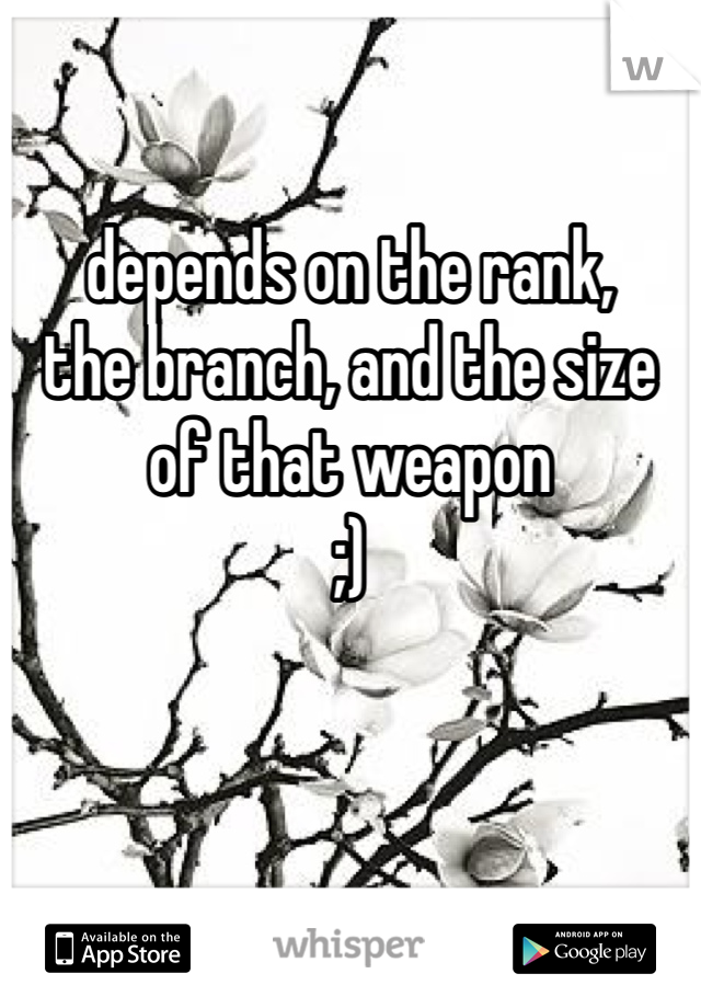 depends on the rank,
the branch, and the size 
of that weapon 
;)