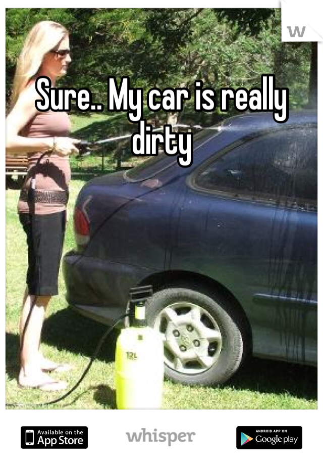 Sure.. My car is really dirty